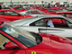a783571-Sea of Ferraris.jpg